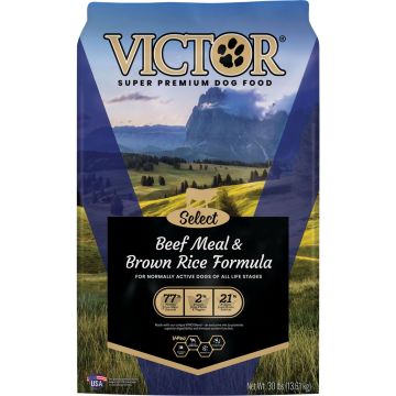 VICTOR2340 Image 1