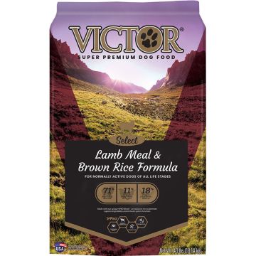 VICTOR2411 Image 1