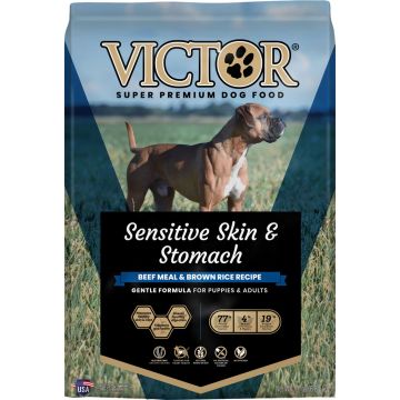 VICTOR2911 Image 1
