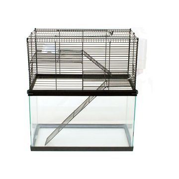 WARE00338 Image 1