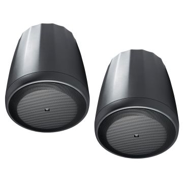 Harman Professional Solutions Control 65 P/T Speaker