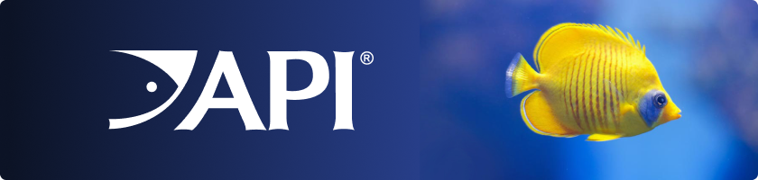 Brand Banner