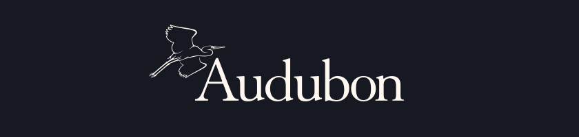 Brand Banner
