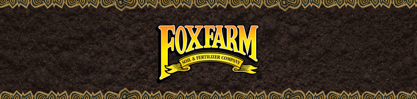 Brand Banner