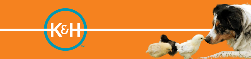 Brand Banner