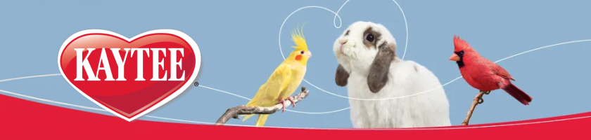 Brand Banner