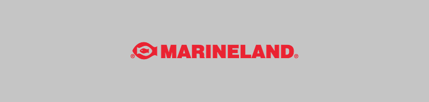 Brand Banner