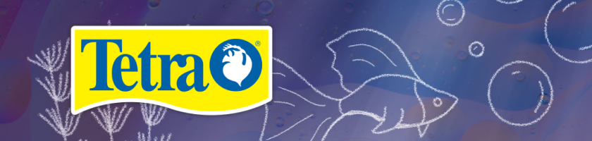 Brand Banner